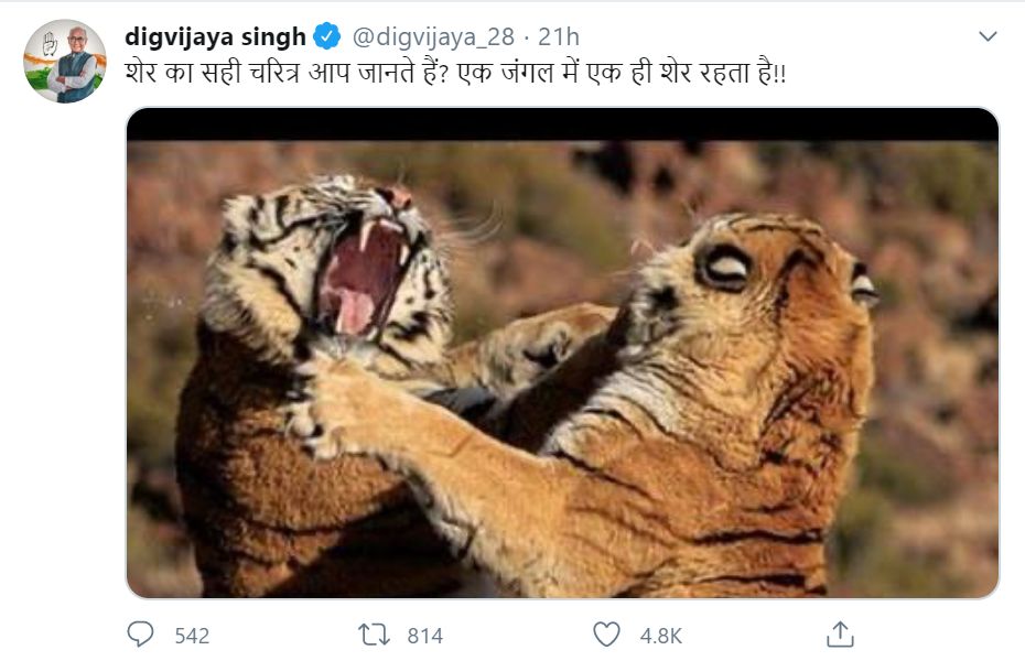 Jyotiraditya Scindia remark Tiger zinda hai creates controversy in Madhya Pradesh - Satya Hindi