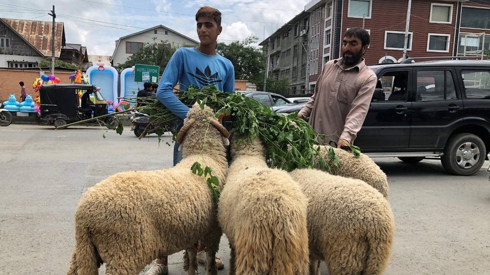 इस बार कश्मीर में हर्षोल्लास से नहीं मनेगी बक़रीद !