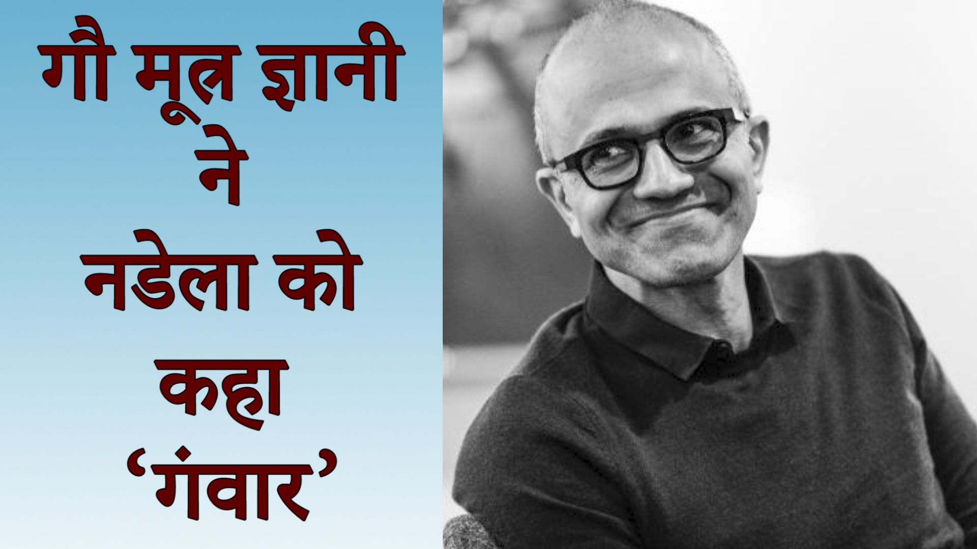 नागरिकता क़ानून: बीजेपी सांसद ने सत्या नडेला पर कसा तंज