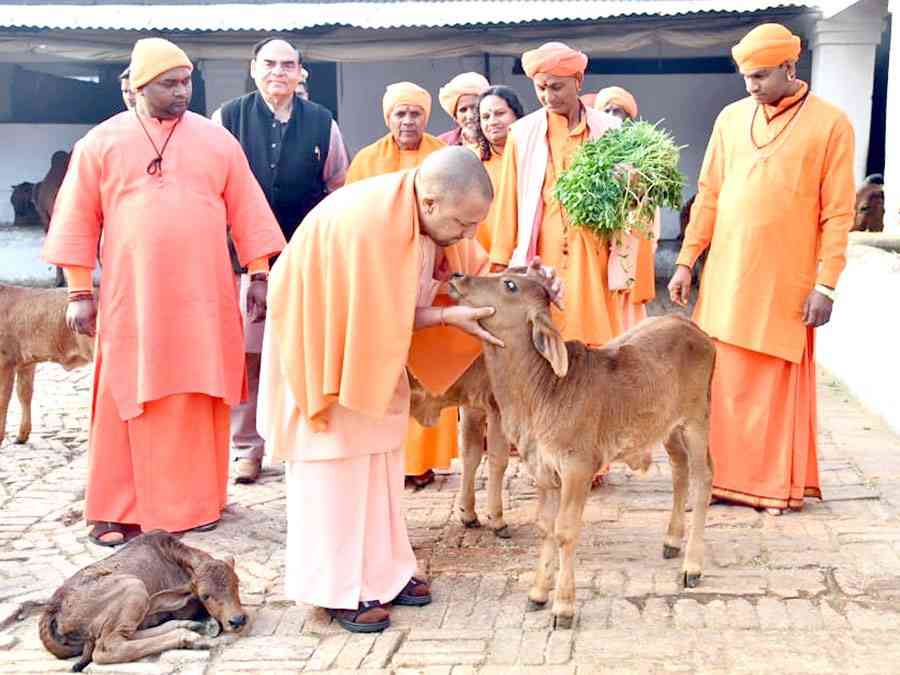 uttar pradesh cm yogi adityanath should focus on problems not ram mandir - Satya Hindi