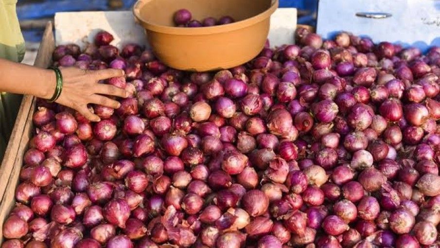 बिहार चुनाव के कारण लगी प्याज के निर्यात पर पाबंदी?