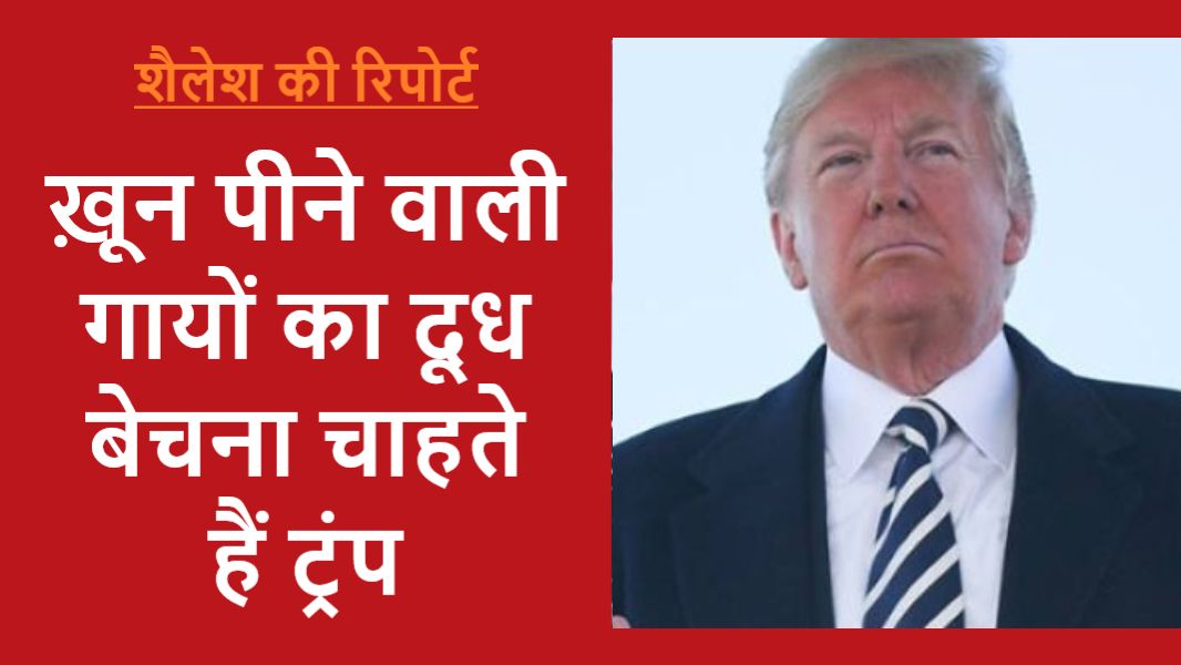 ट्रंप यात्रा: माँसाहारी गायों के दूध के लिए तैयार होंगे मोदी?